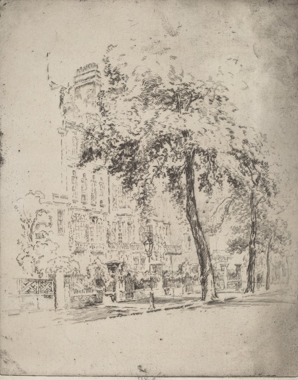 大树，Cheyne Walk，1906年。 作者 约瑟夫·彭内尔
