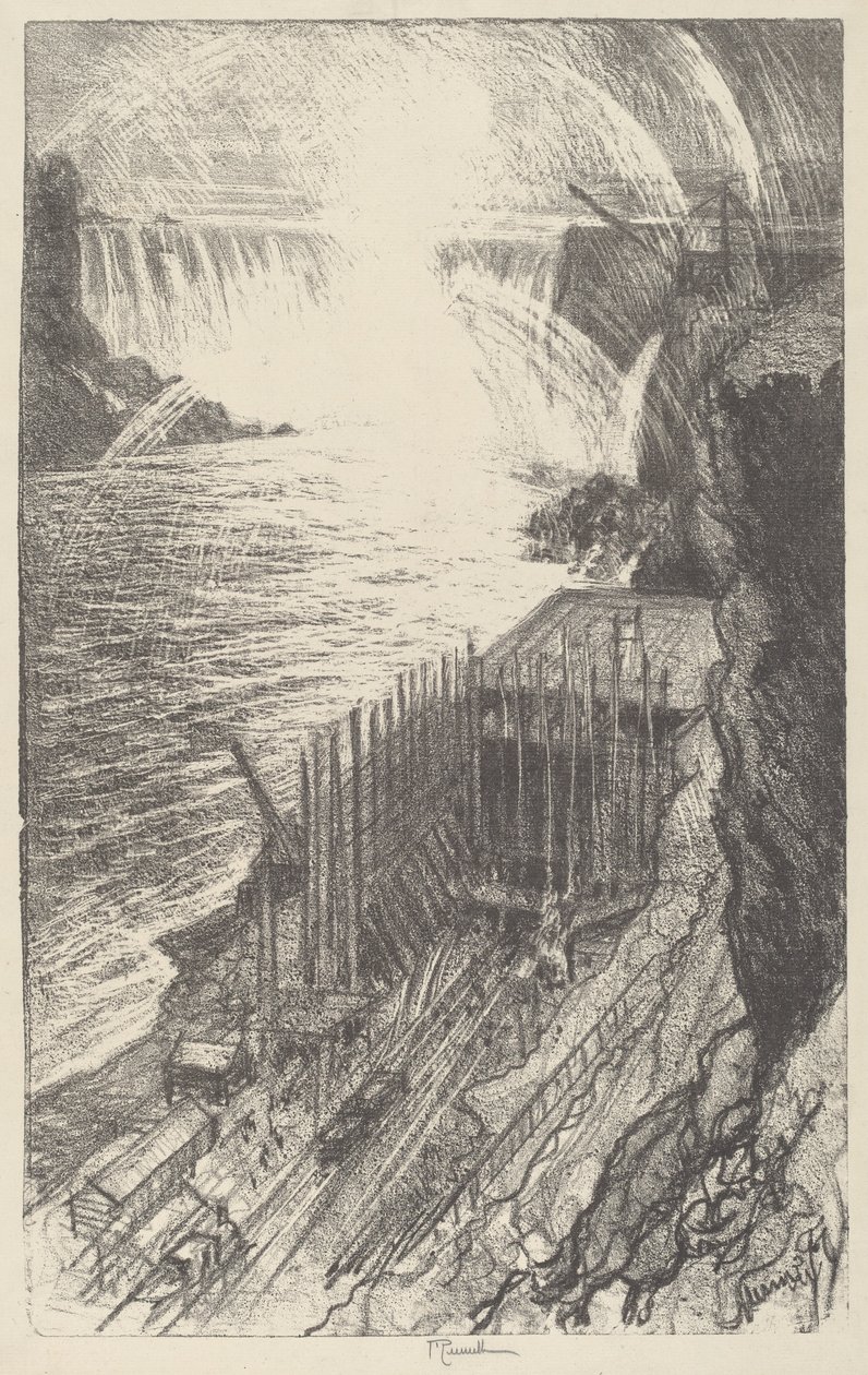 尼亚加拉雨林，1910年。 作者 约瑟夫·彭内尔