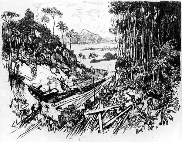 丛林：旧铁路，1912年约瑟夫·彭奈尔的巴拿马运河八号板块（木炭纸上） 作者 约瑟夫·彭内尔