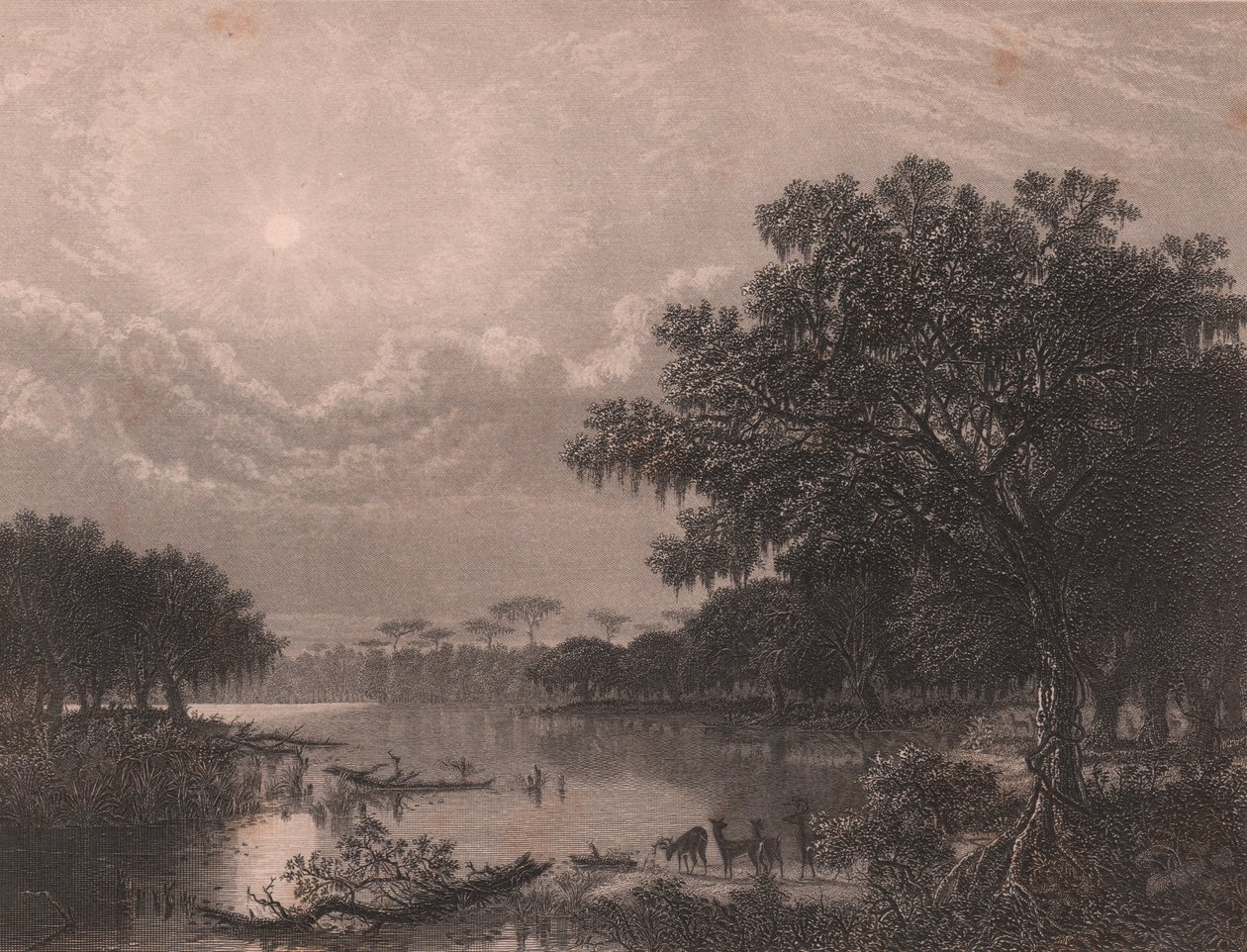 美国路易斯安那州河口，罗伯特-欣舍伍德（1812-1875 年后）根据约瑟夫-鲁斯林-米克尔（1827-1889 年）的画作所作的钢板雕刻，约 16x18 厘米 作者 约瑟夫·鲁斯林·米克尔