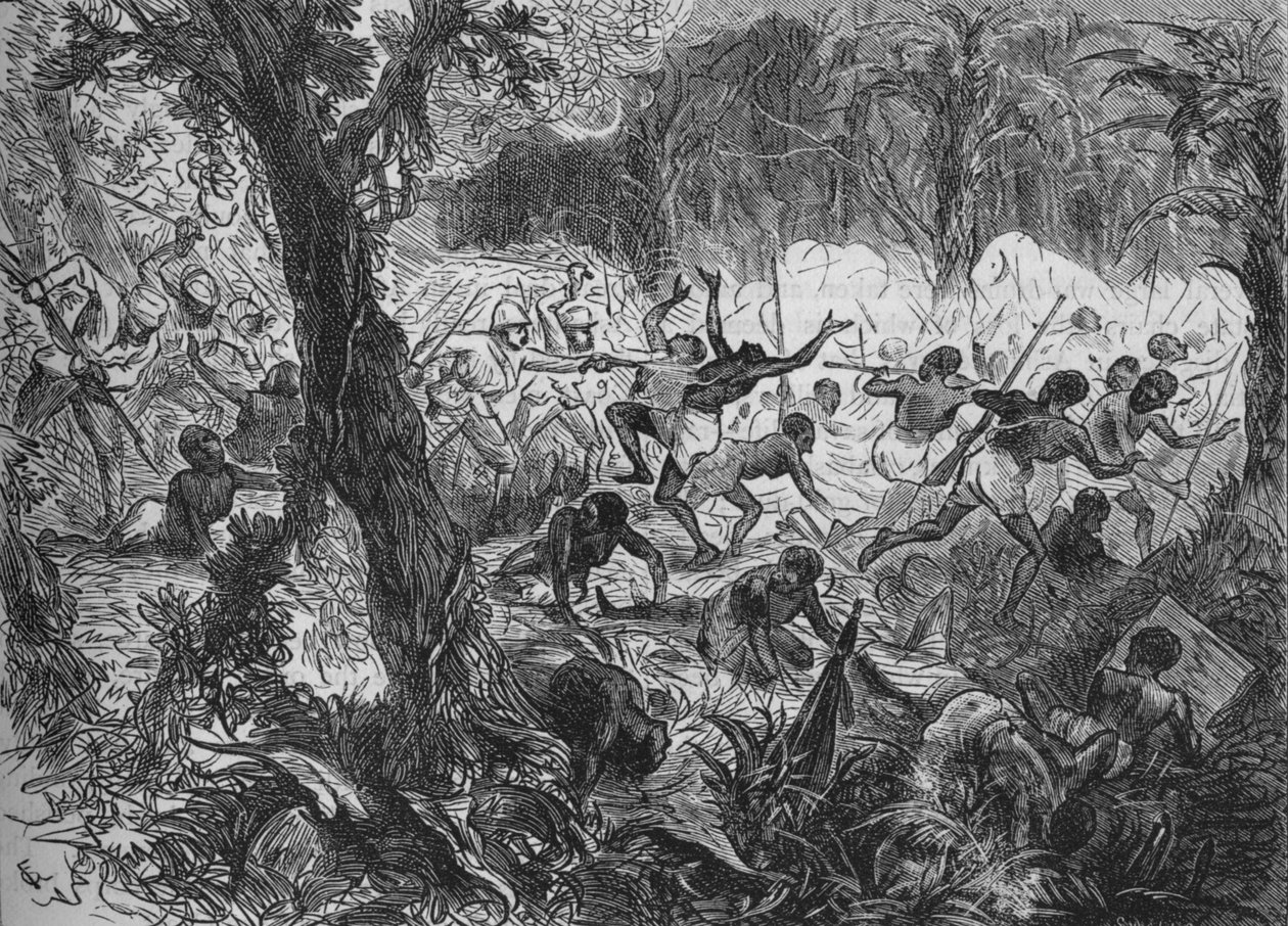 1880年在亚伯拉罕帕战斗 作者 约瑟夫·斯温