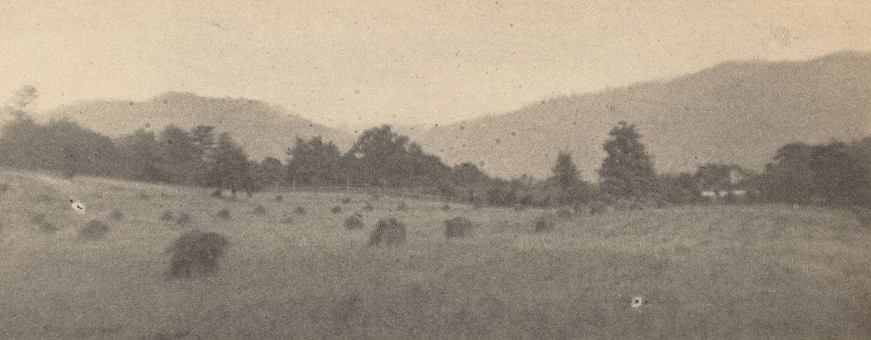 山林风景，约 1900 年1900 年（照片） 作者 约瑟夫·T·凯利