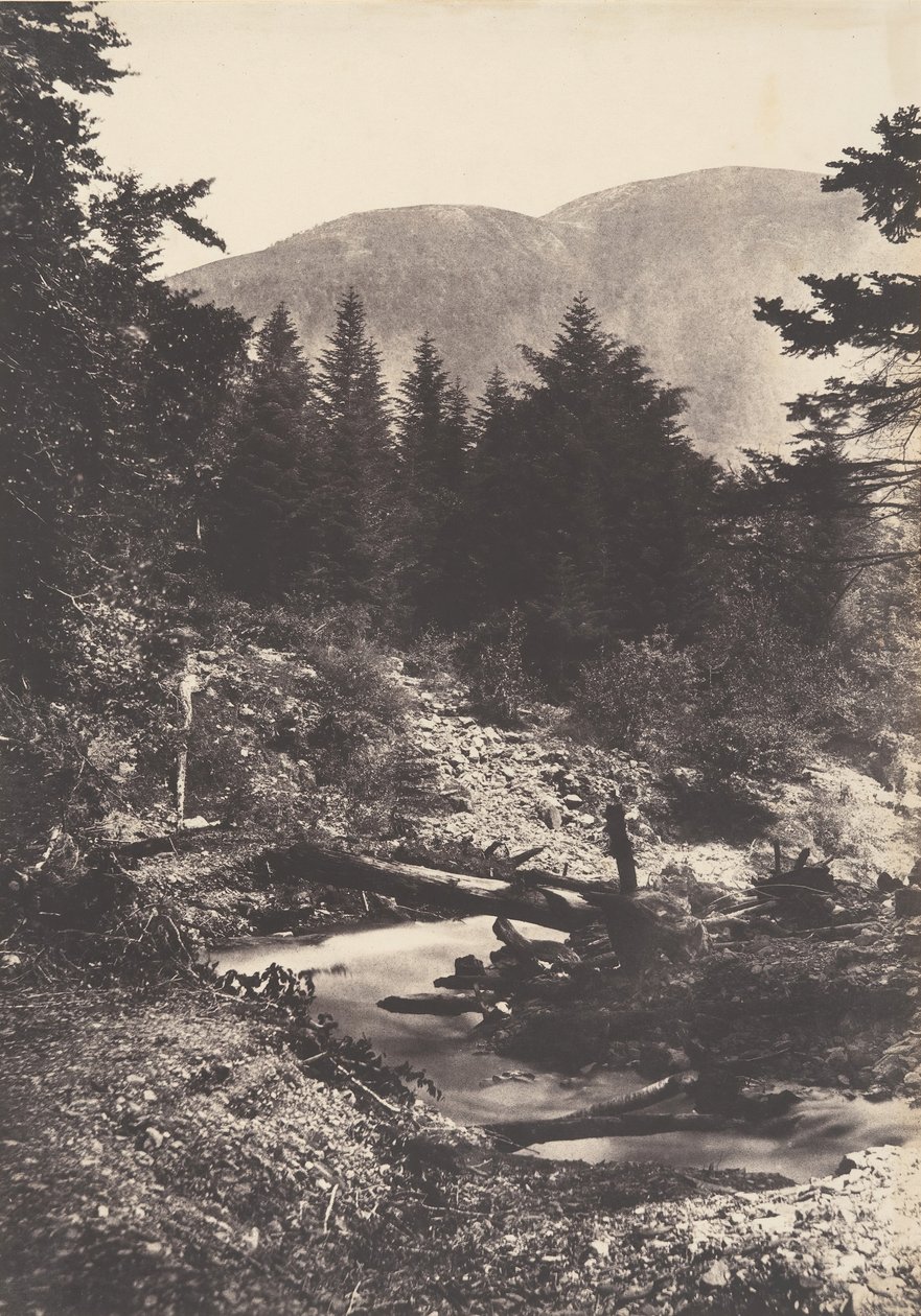 蓑衣瀑布的溪流，Bagnères de Luchon，1853年。 作者 约瑟夫维吉耶