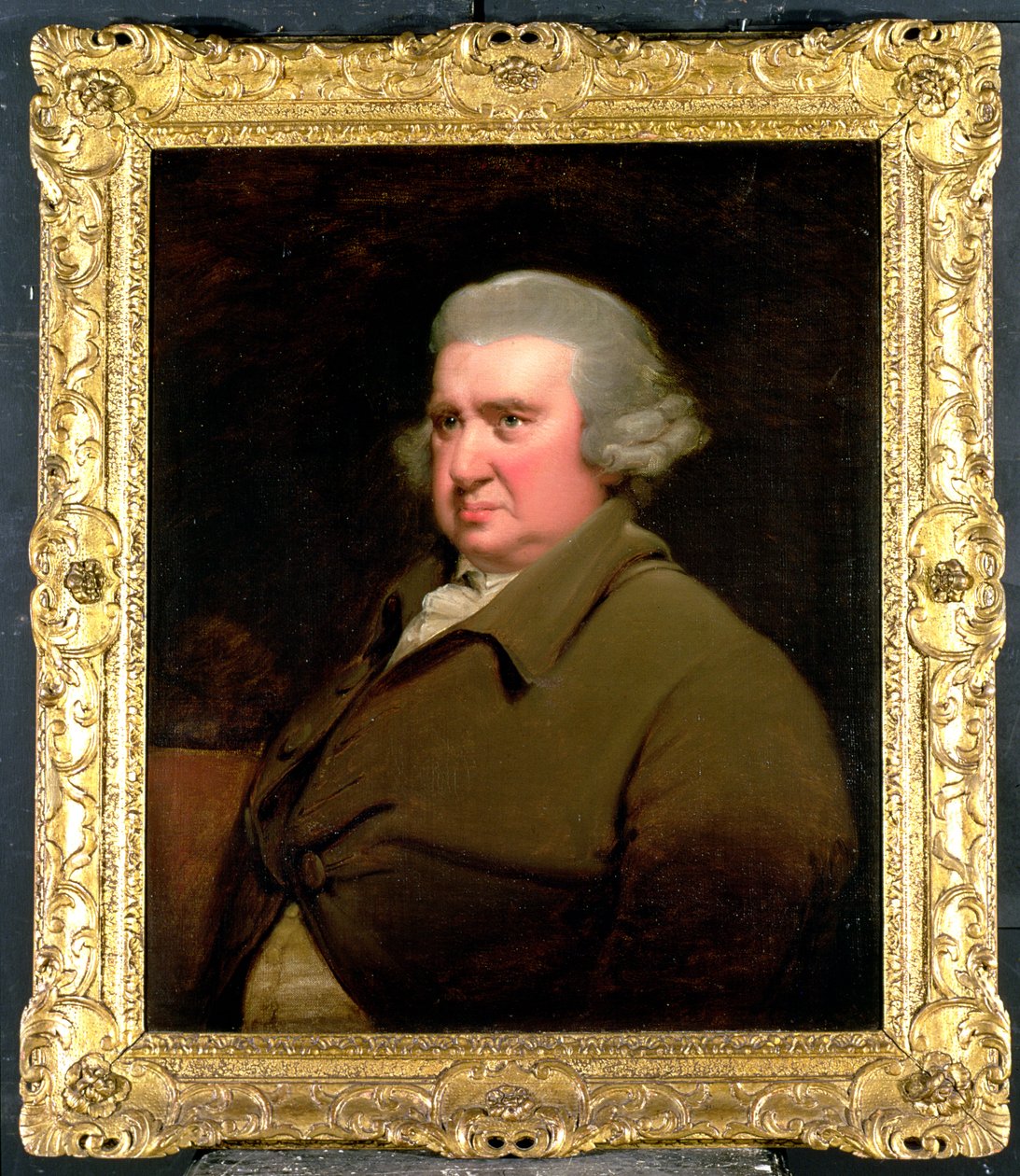 Erasmus Darwin博士的肖像，（1731-1802）科学家，发明家和诗人，查尔斯达尔文的祖父，1792-93（另见5516） 作者 德比的约瑟夫·赖特
