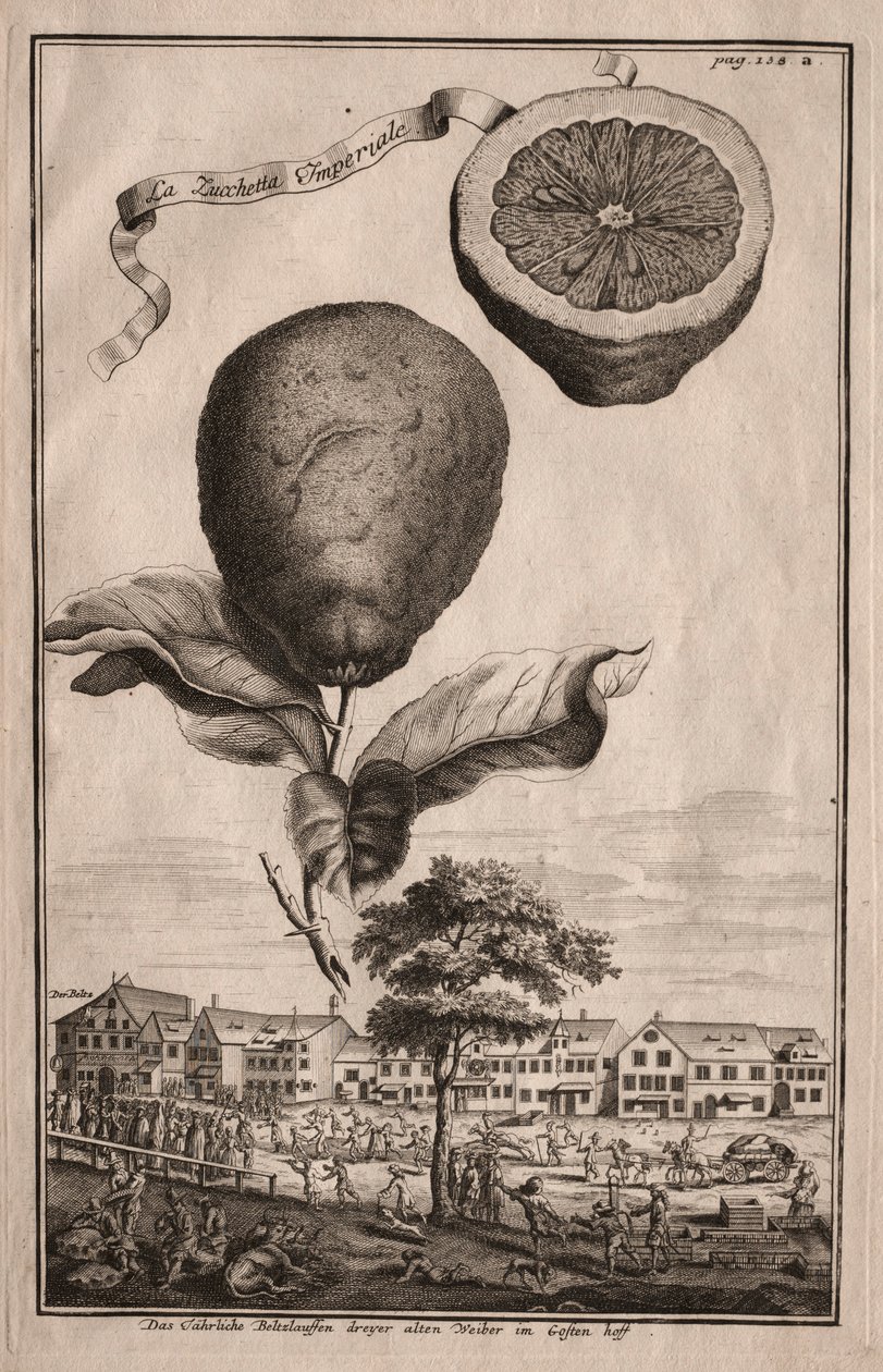纽伦堡·海斯佩里德斯（Nurnbergische Hesperides）：卢切塔·伊珀里亚勒（Luchetta Imoperiale），1714年。 作者 约瑟夫·德·蒙塔莱格里