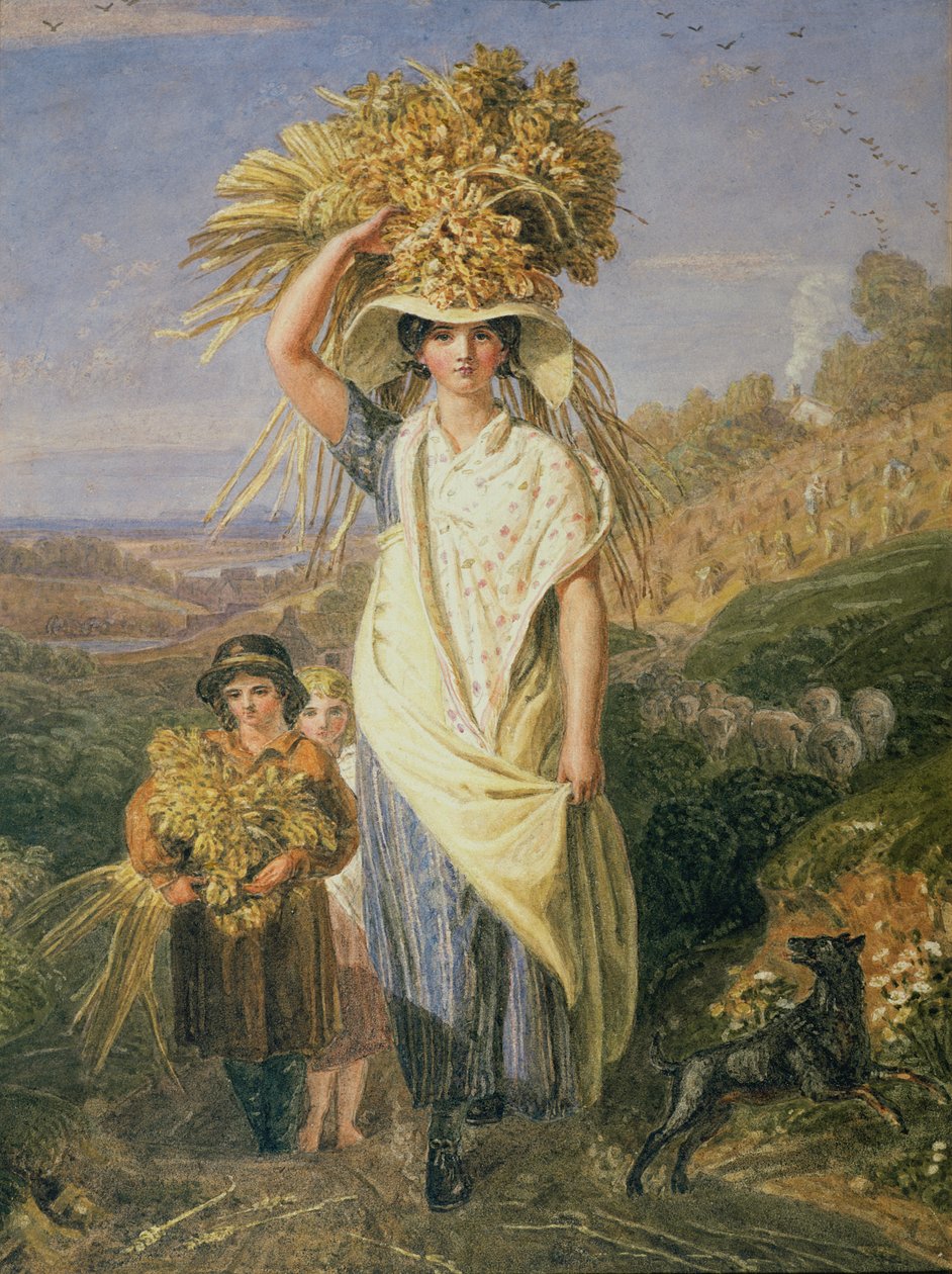 Gleaners 作者 约书亚·克里斯塔尔（Joshua Cristall）