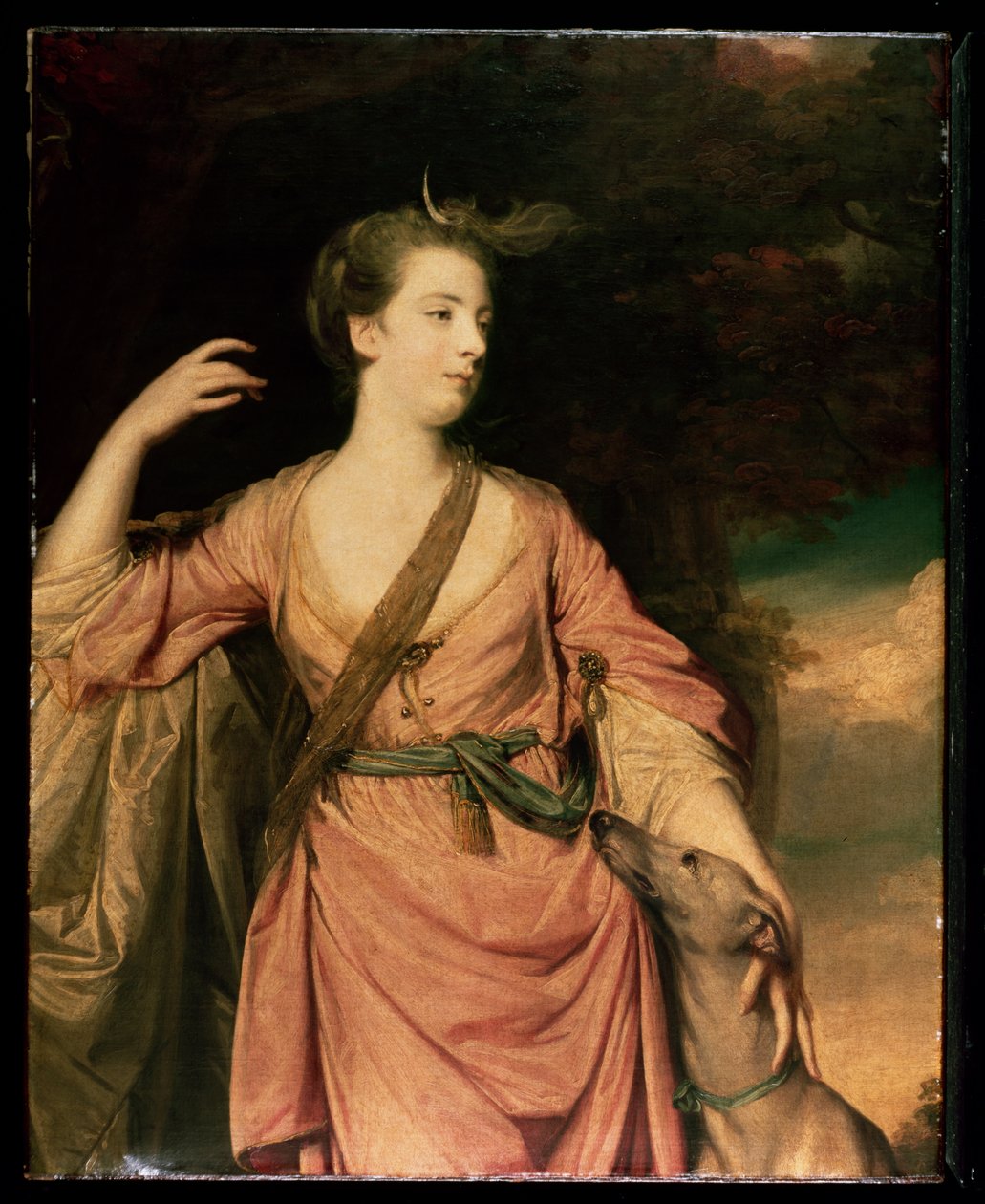 道森夫人c.1763 作者 约书亚·雷诺兹（Joshua Reynolds）