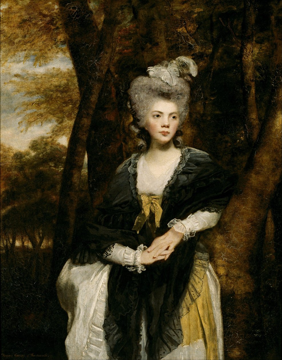 弗朗西斯芬奇女士 作者 约书亚·雷诺兹（Joshua Reynolds）