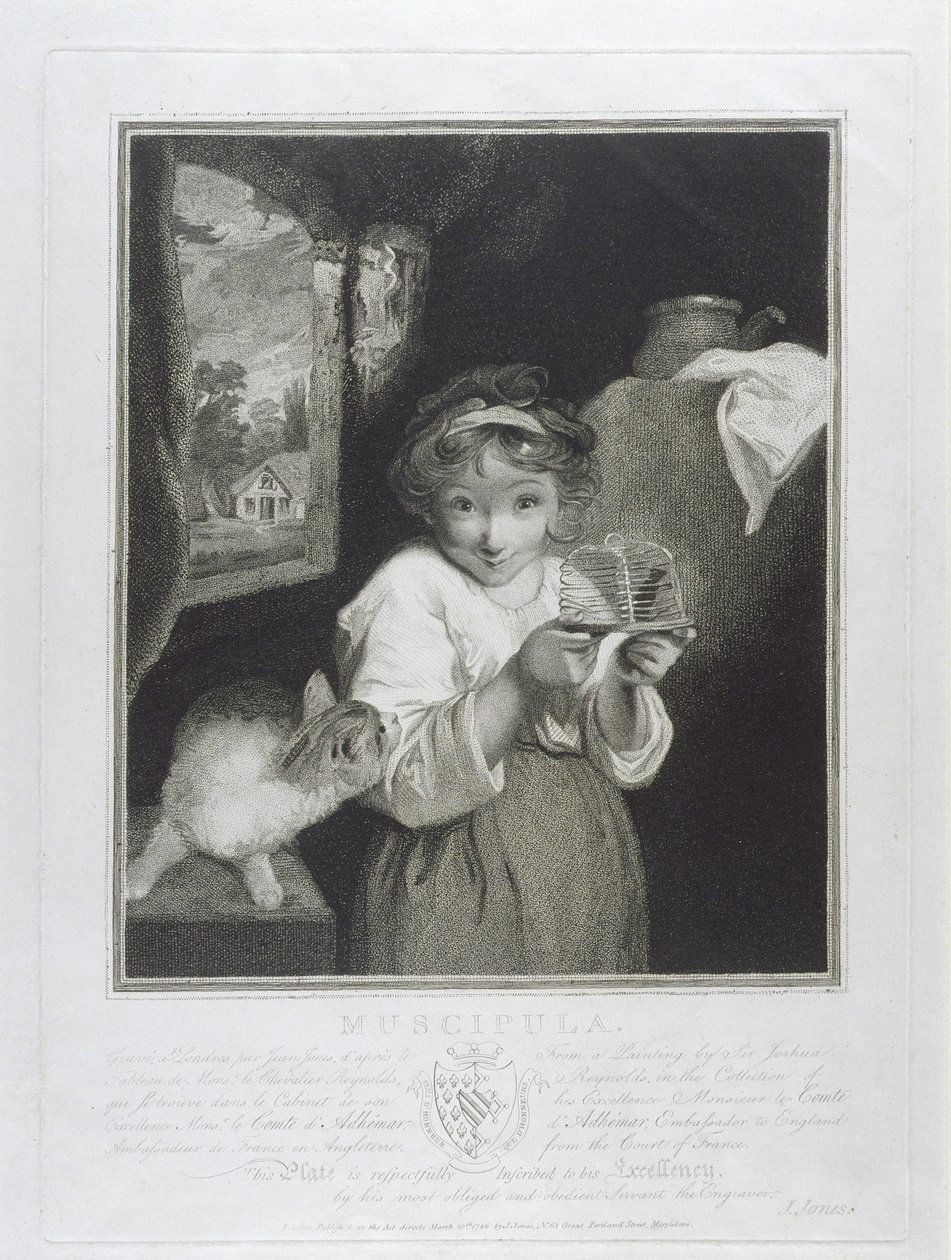 Muscipula，由John Jones（1745-97）1786年刻 作者 约书亚·雷诺兹（Joshua Reynolds）