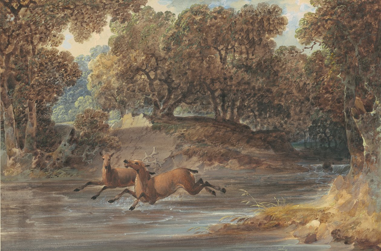 与鹿，北卡罗来纳州，1820年的景观（wc und水粉在纸上的水粉） 作者 约书亚·肖