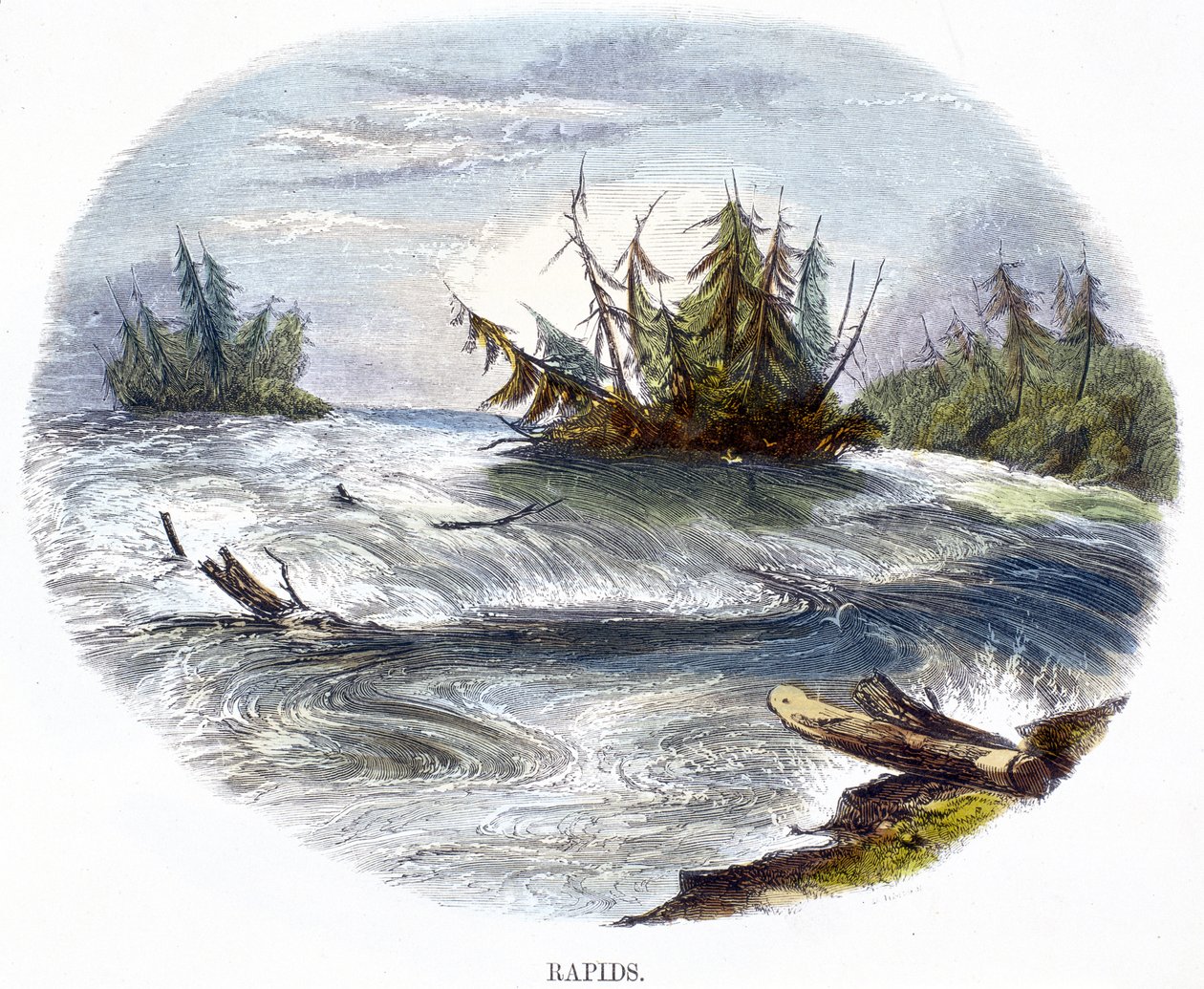 急流，来自自然现象，1849年 作者 乔西亚·伍德·怀珀（Josiah Wood Whymper）