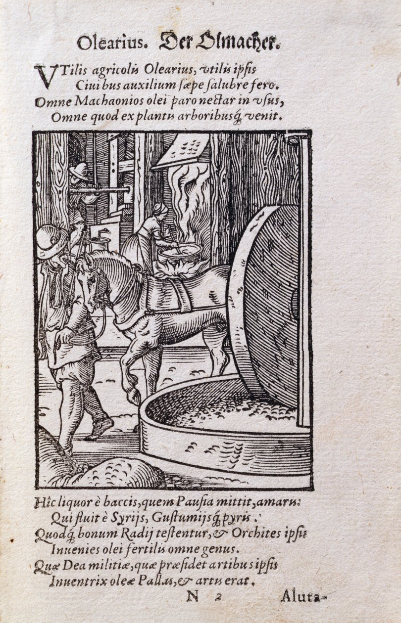 油画师，插图来自拉丁文版的《De Omnibus Illiberalibus Sive Mechanics Artibus》，其中有汉斯-萨克斯（1494-1576）的诗句，已出版。1574年（木刻）。 作者 约斯特安曼