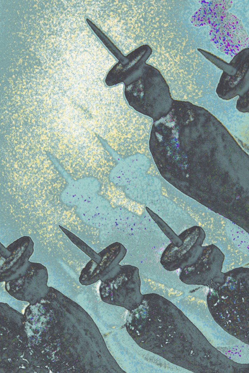 蜡烛树》，选自《特雷斯卡的礼物》系列，2015 年（摄影） 作者 欢乐狮