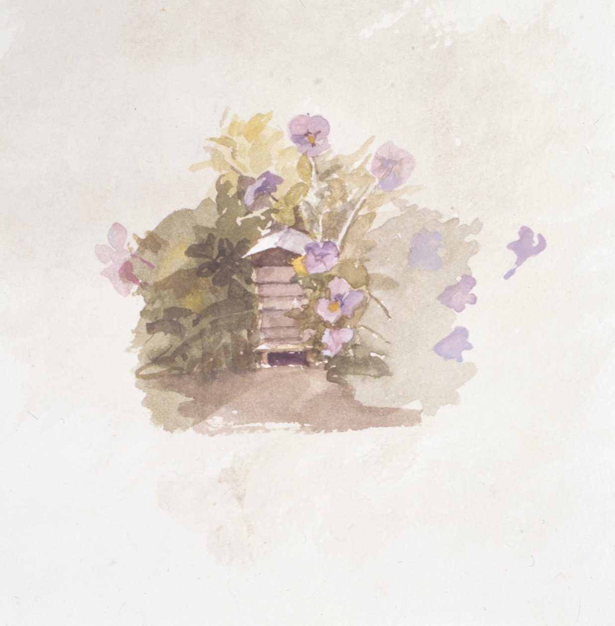  作者 乔伊斯·哈登