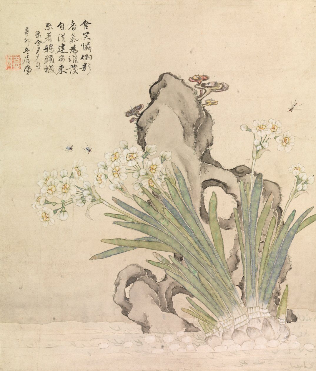 水仙，岩石，蜜蜂和灵芝 作者 菊莲