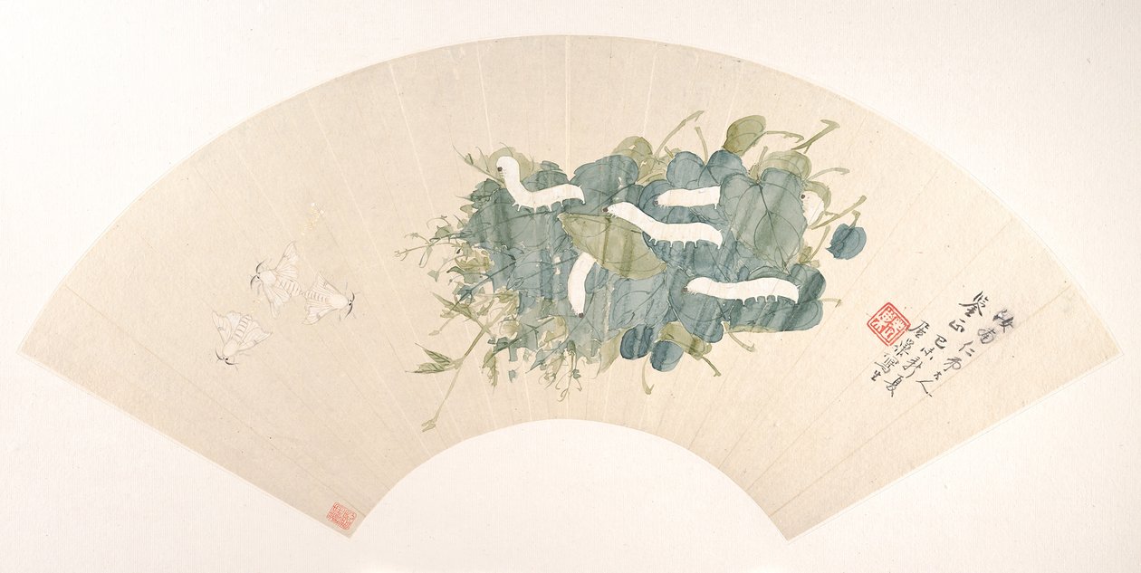 蚕，日期为1859年。 作者 鞠超