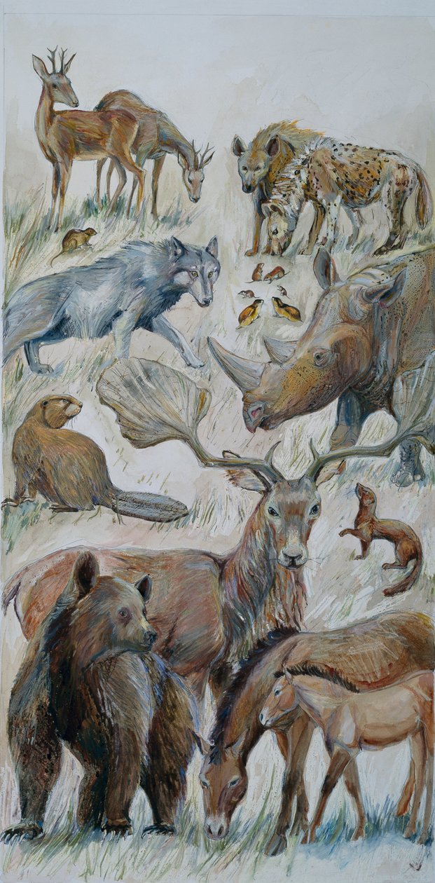 通过挖掘确认的箱根动物（纸面水彩画） 作者 朱迪思·多比