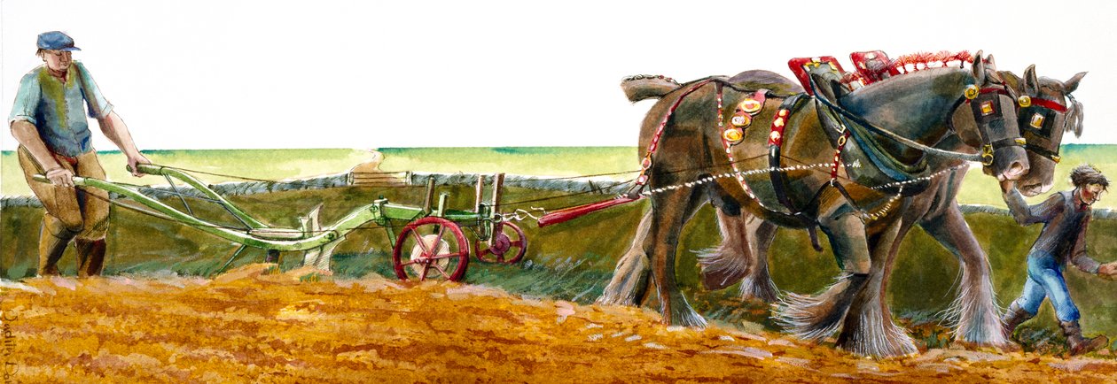 耕作, 约1830-1900, 约1990-2010 作者 朱迪思·多比
