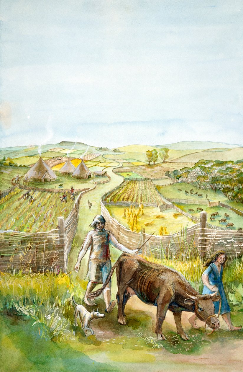 农村景观, 2000BC, c1990-2010 作者 朱迪思·多比