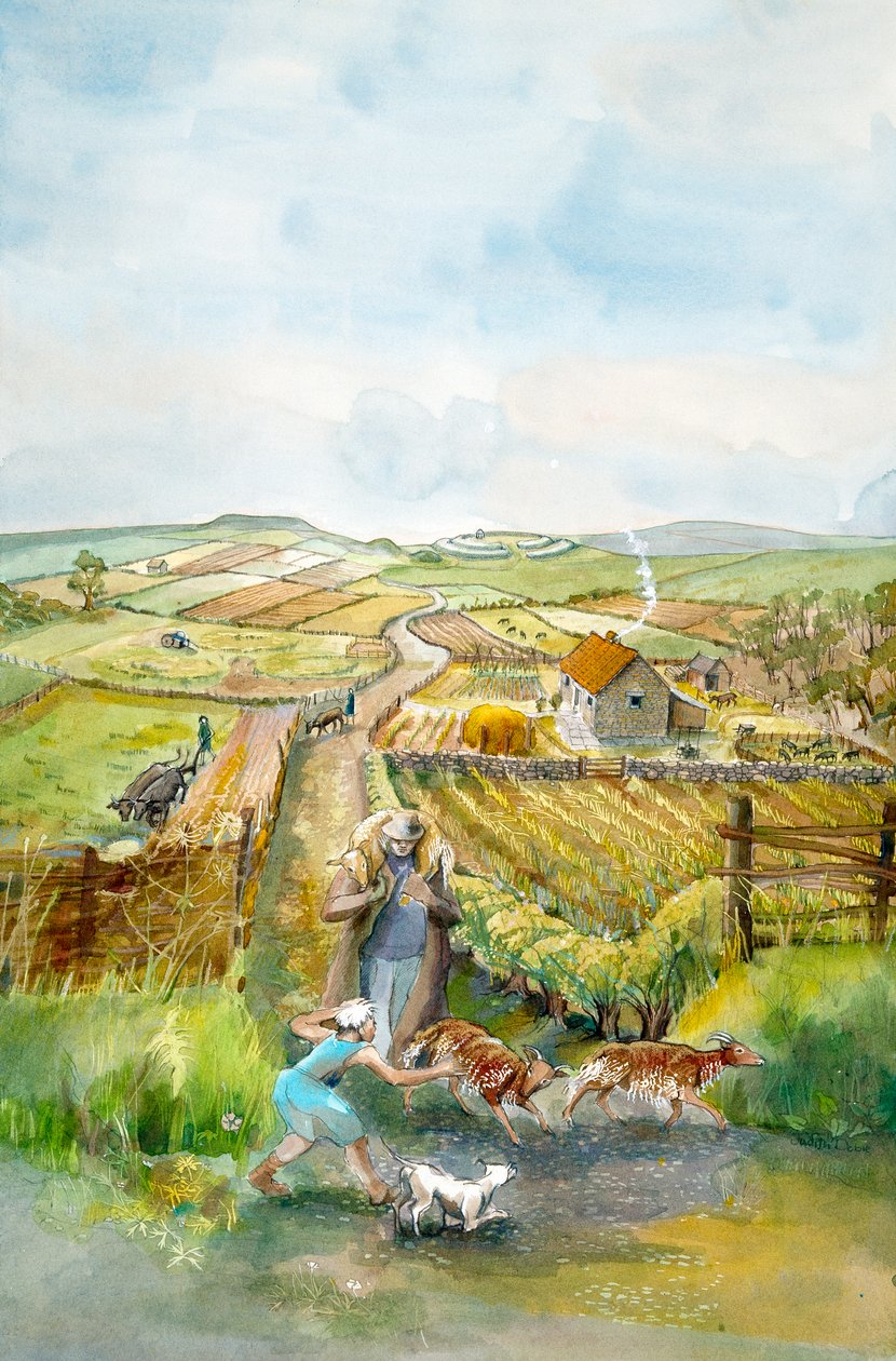 农村景观，3世纪，约1990-2010 作者 朱迪思·多比