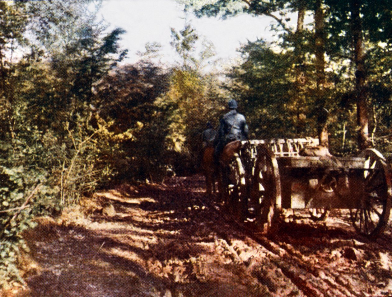 法国马拉车用75毫米枪，Verdun，1916年（自动色） 作者 朱尔斯·格维斯·考特莱蒙