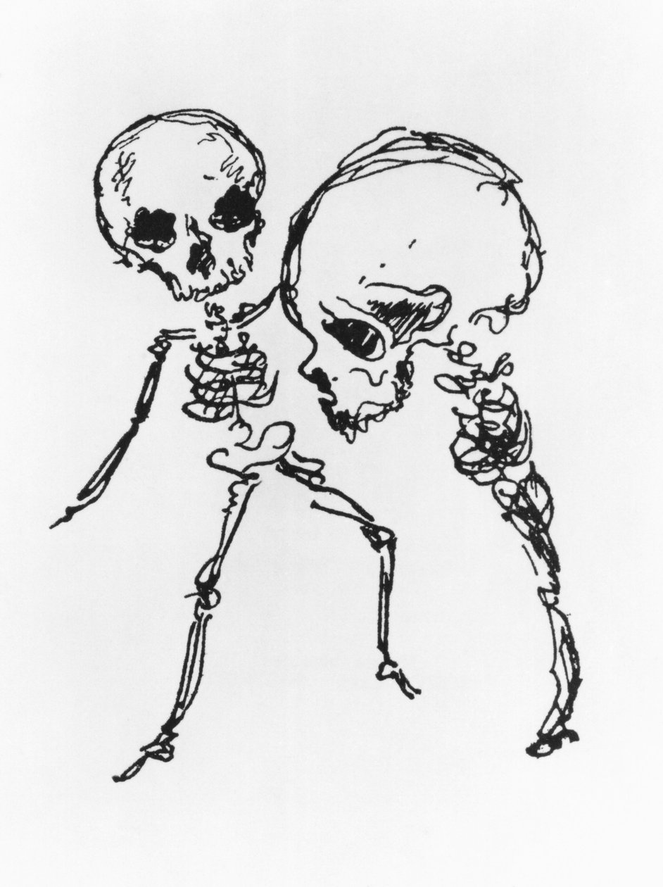 骷髅，插图来自&39;遗忘和死者的哀悼&39; 作者 朱尔斯·拉福格（Jules Laforgue）