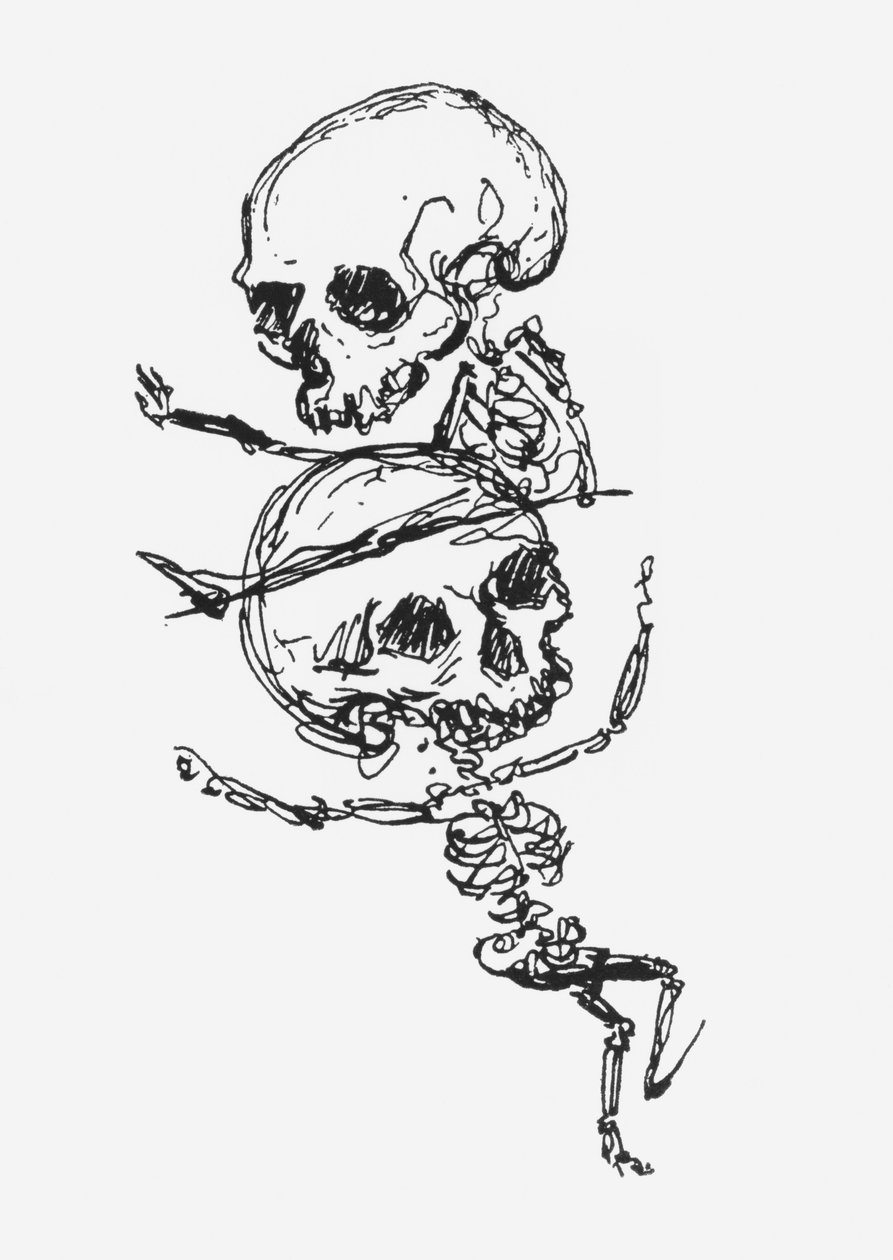 骷髅，插图来自&39;遗忘和死者的哀悼&39; 作者 朱尔斯·拉福格（Jules Laforgue）