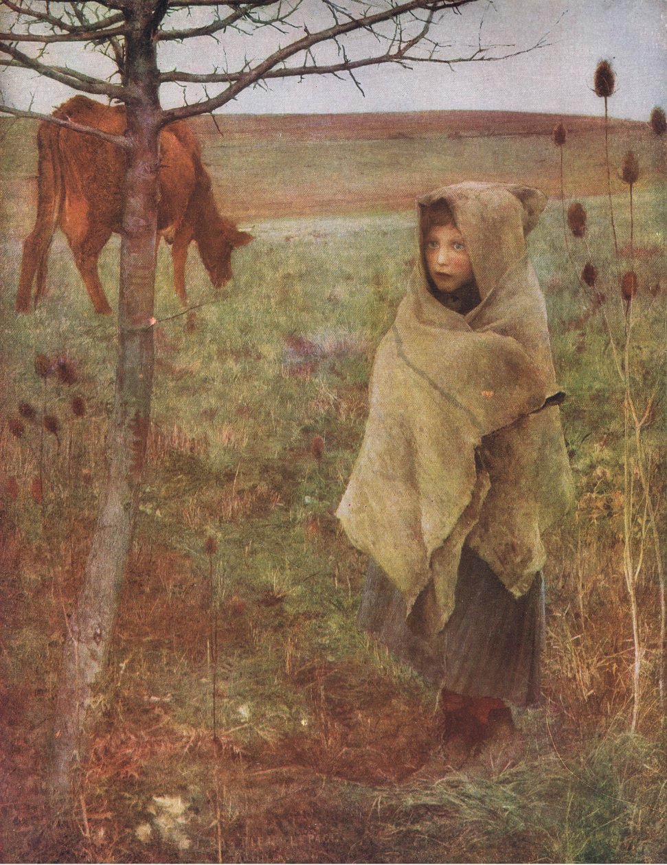 可怜的鸣鸟，Bibbys年度，1916-1917 作者 巴斯蒂安·勒佩奇之后的朱尔斯