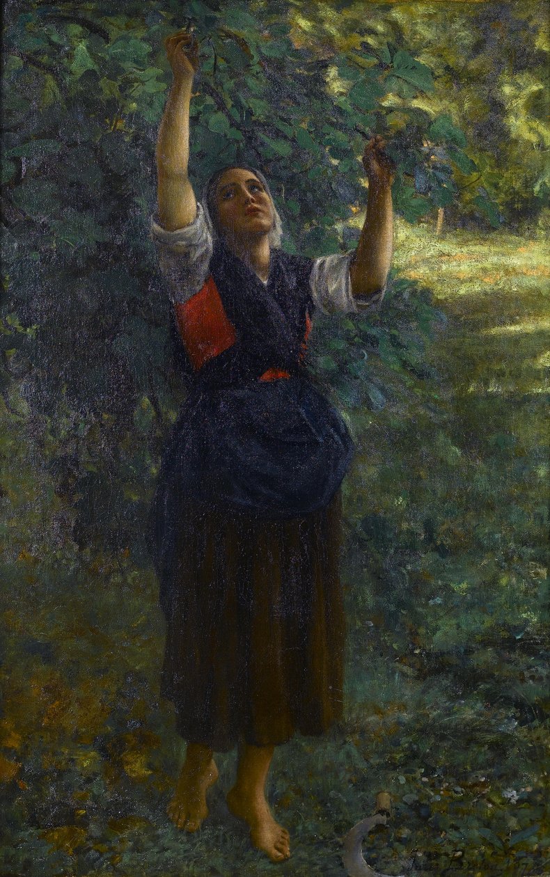 法语: Cueilleuse de figues 作者 朱尔斯·布雷顿