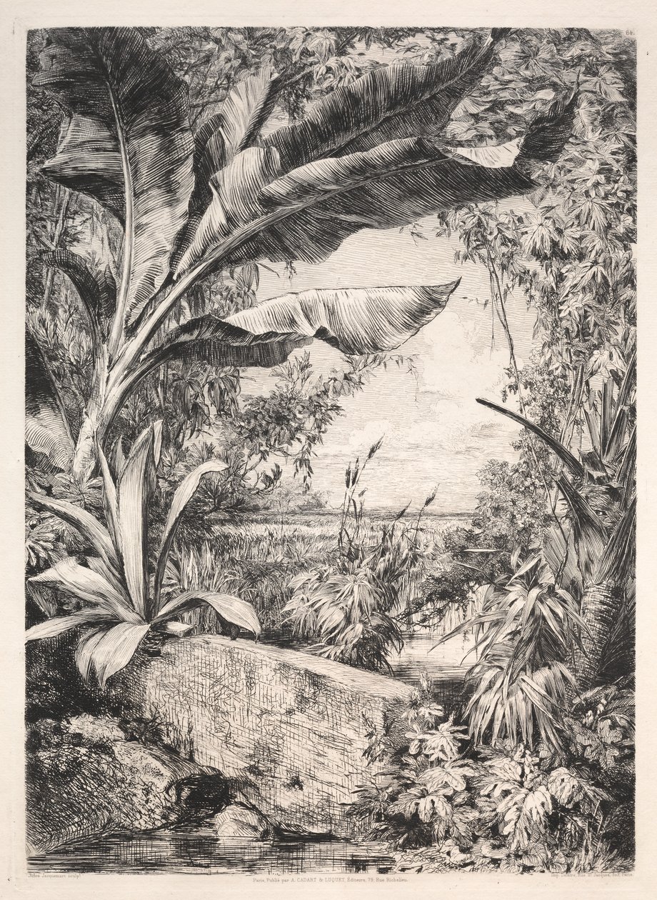 温室植物，1872年。 作者 朱尔斯·费迪南德·雅克马尔