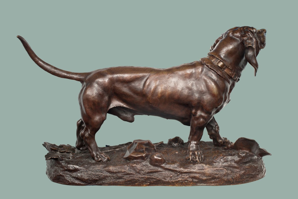 巴吉度猎犬（青铜色带褐色） 作者 朱尔斯·皮埃尔·莫尼格斯（Jules Pierre Moigniez）