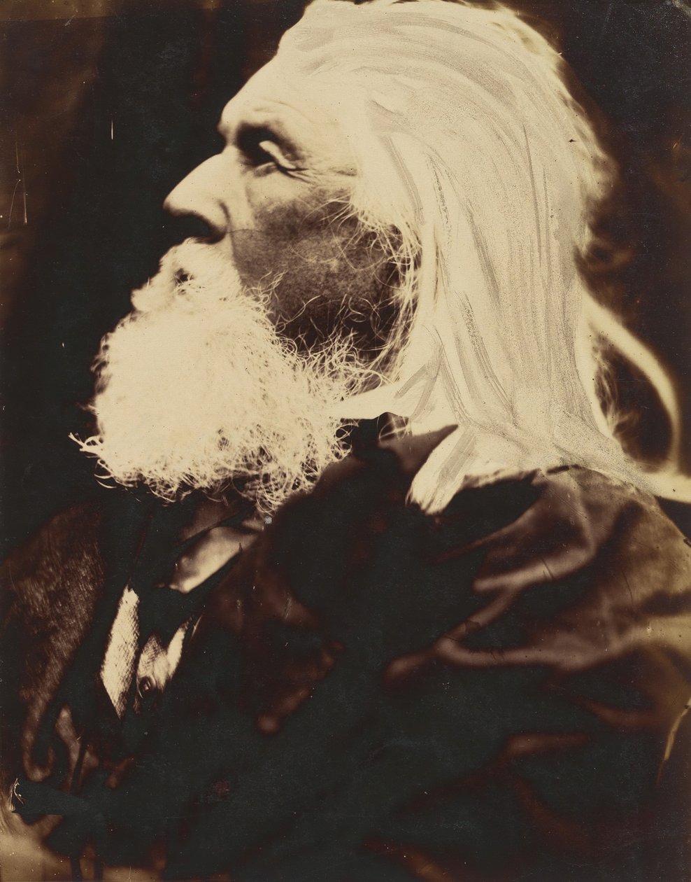 查尔斯-海-卡梅伦，1864年。 作者 朱莉娅·玛格丽特·卡梅伦