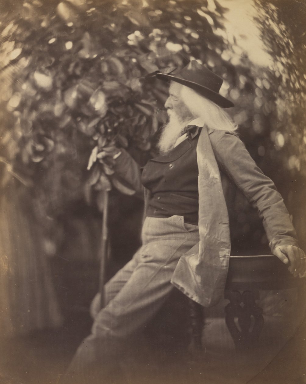 查尔斯-海-卡梅伦，Esq.，在他位于淡水的花园里，1865-67。 作者 朱莉娅·玛格丽特·卡梅伦