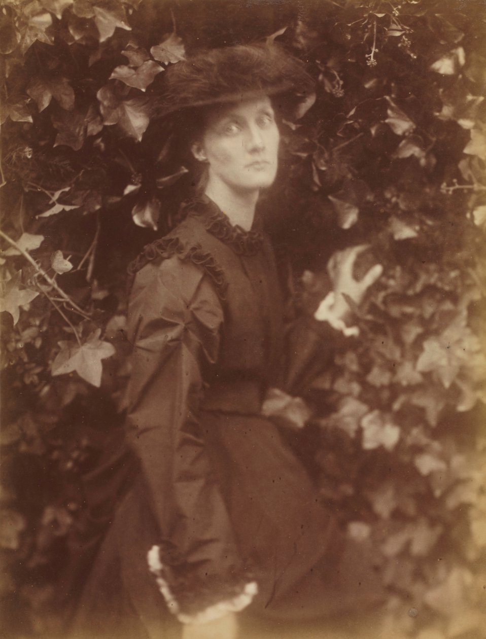 朱莉娅·杰克逊·达克沃思（Julia Jackson Duckworth）1846-1895，1874年。 作者 朱莉娅·玛格丽特·卡梅伦