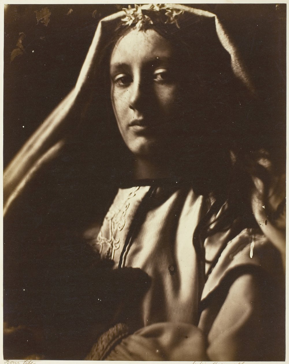 The Neopolitan, 186465. 作者 朱莉娅·玛格丽特·卡梅伦