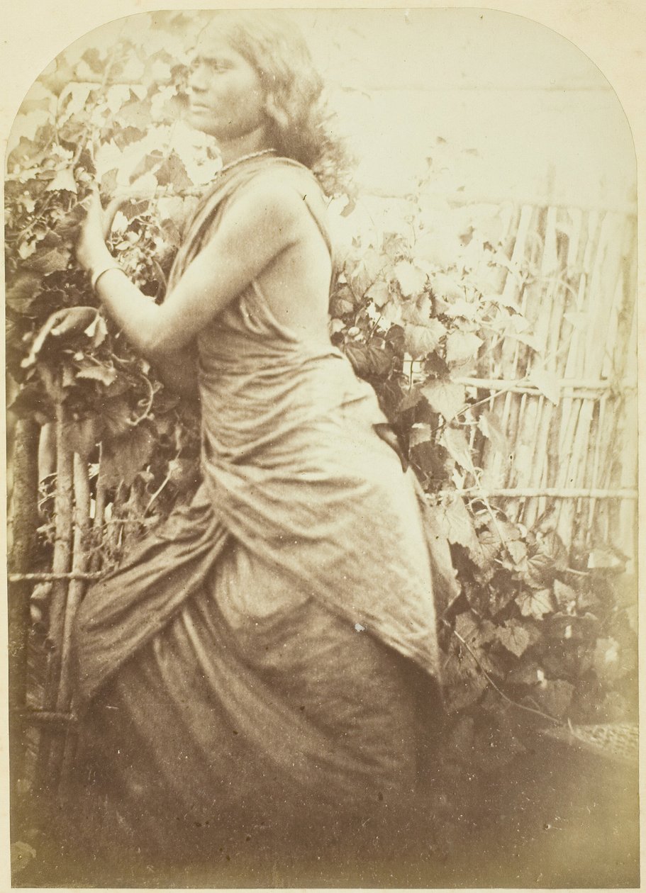 女人，锡兰，187579。 作者 朱莉娅·玛格丽特·卡梅伦