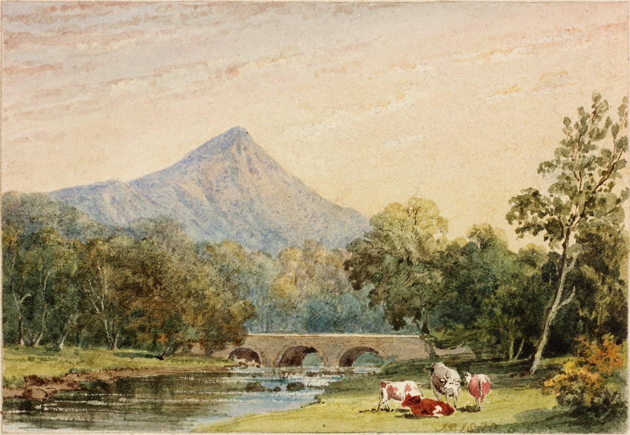 来自Tynnahinch的Sugarloaf Hill（纸上写着（贴在卡片上）） 作者 朱莉娅·斯温本（Julia Swinburne）