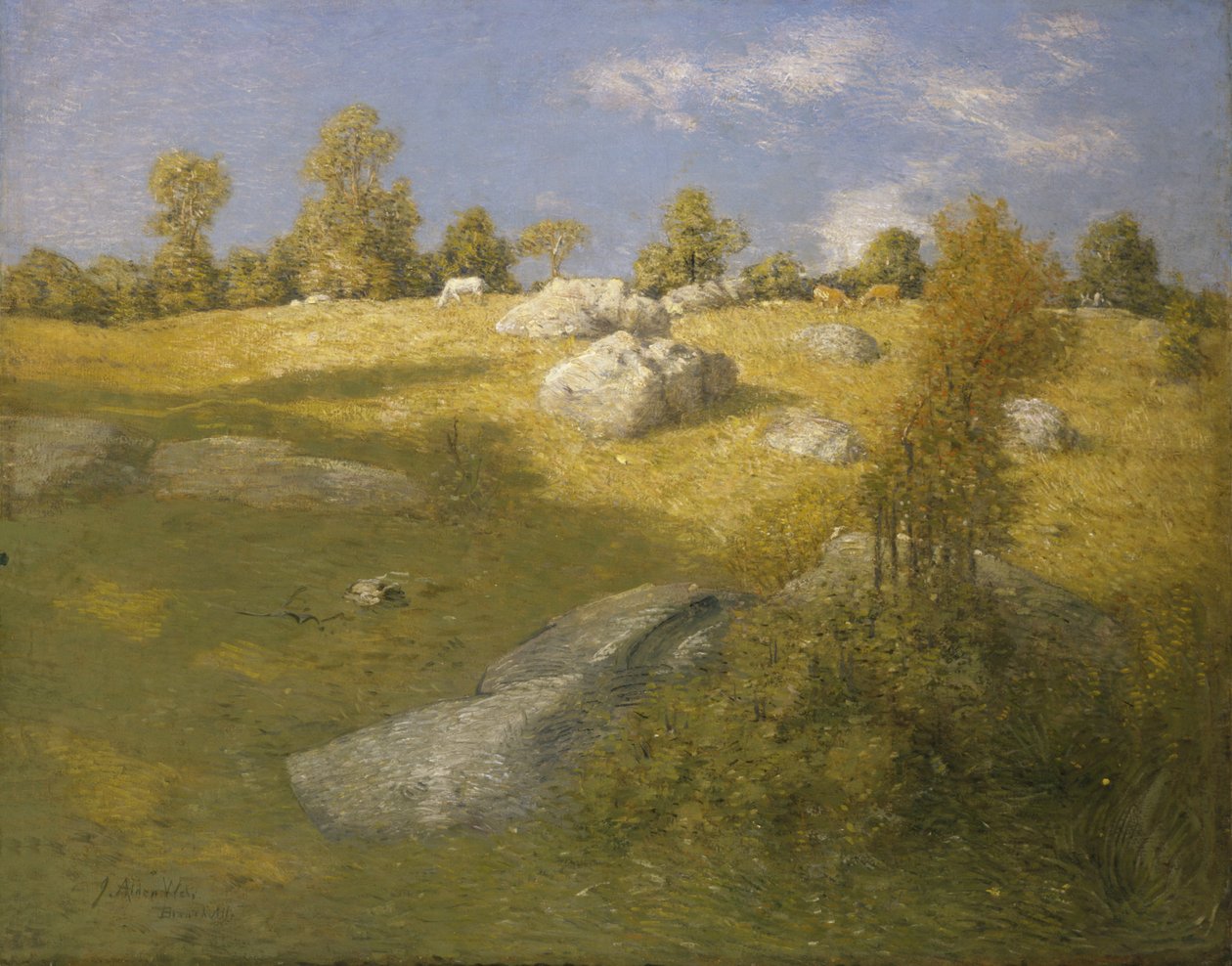 高地牧场，约1905年。 作者 朱利安·奥尔登·威尔