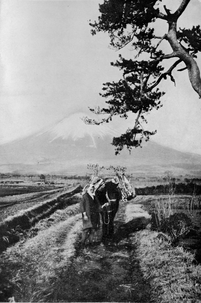富士地区的农民不以名字命名，而只是以O Yama（名山）命名 作者 朱利安·伦纳德街