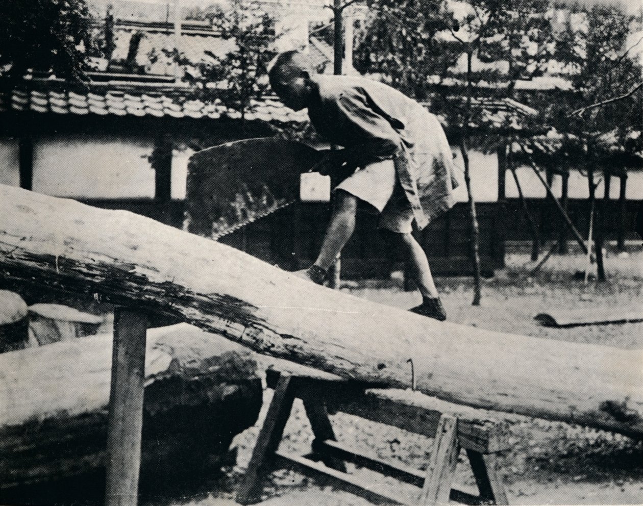 锯和刨是通过拉动而不是驱动运动来完成的，c1900，1921 作者 朱利安·伦纳德街