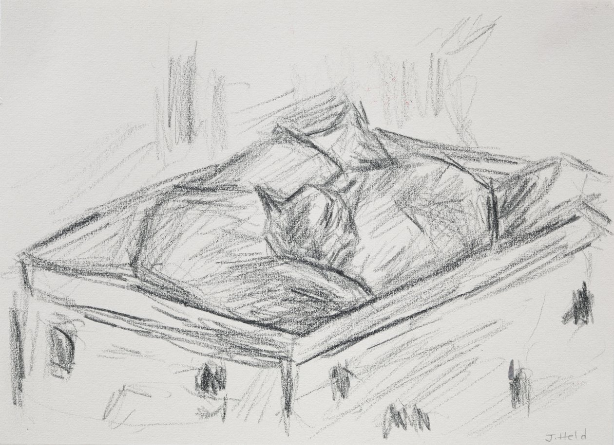 Cats Nestling，2015（铅笔） 作者 朱莉英雄