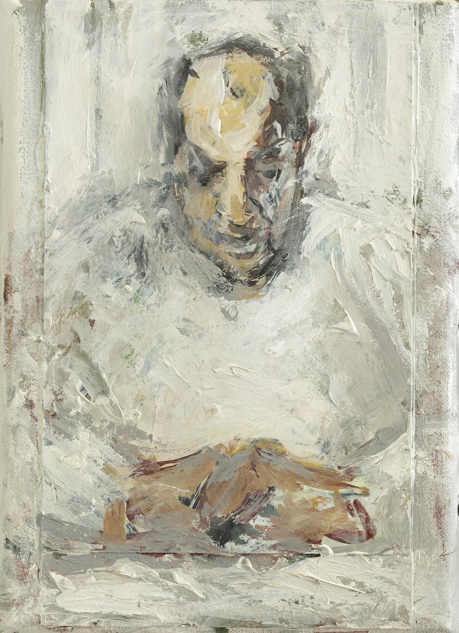 康复期，2014年， 作者 朱莉英雄