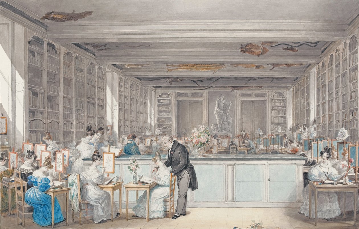 Pierre-JosephRedouté在植物园的布冯室中的植物绘画学院，1830年（纸上有石墨） 作者 朱莉·里伯（Julie Ribault）