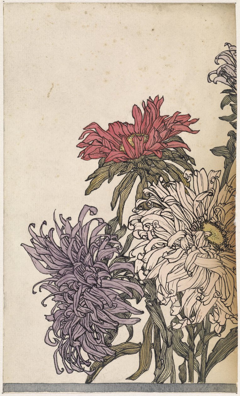 Chrysanten 作者 朱莉·德格拉格