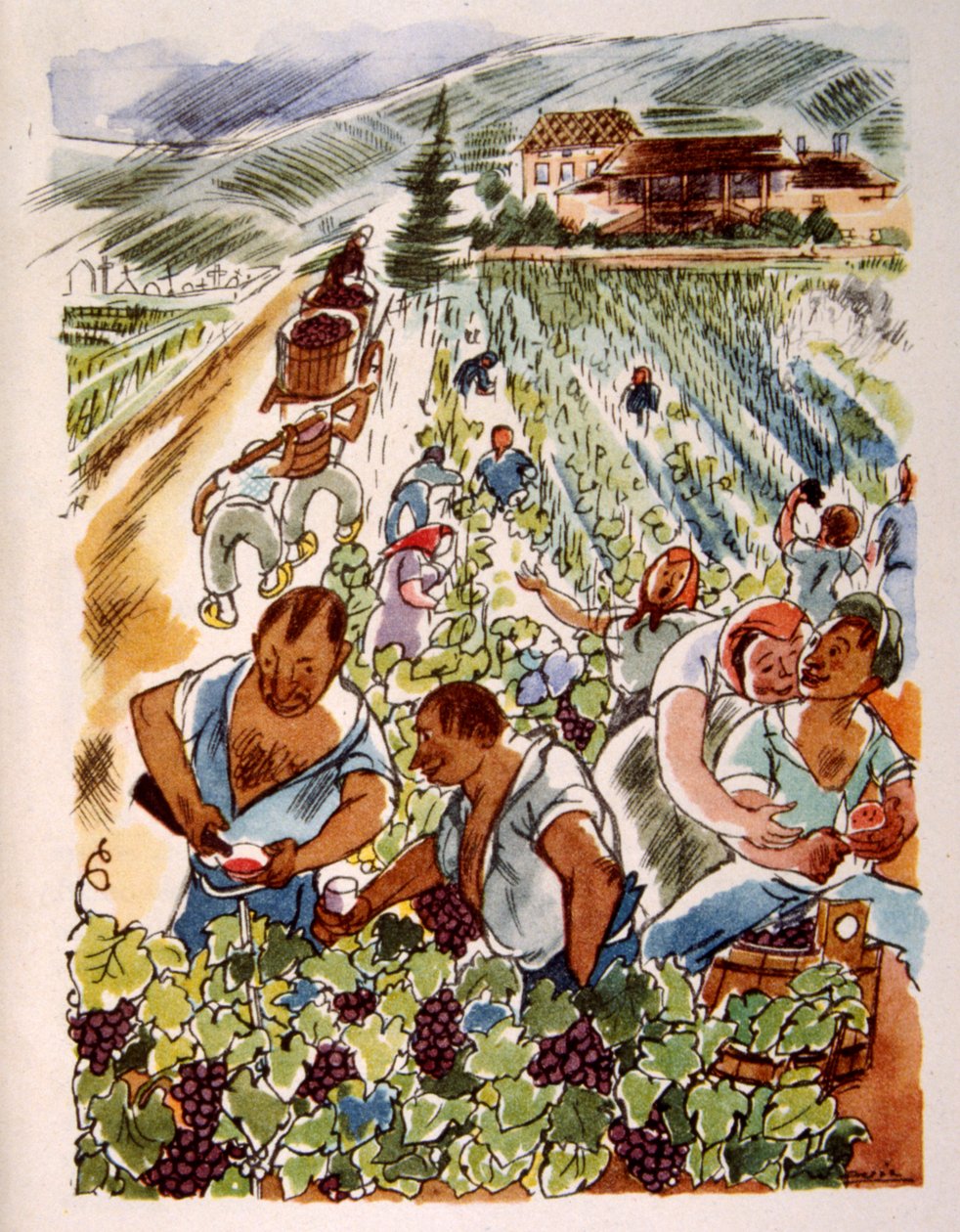 法国葡萄园。 1944 年。朱利安·帕维尔插图 作者 朱利安·帕维尔