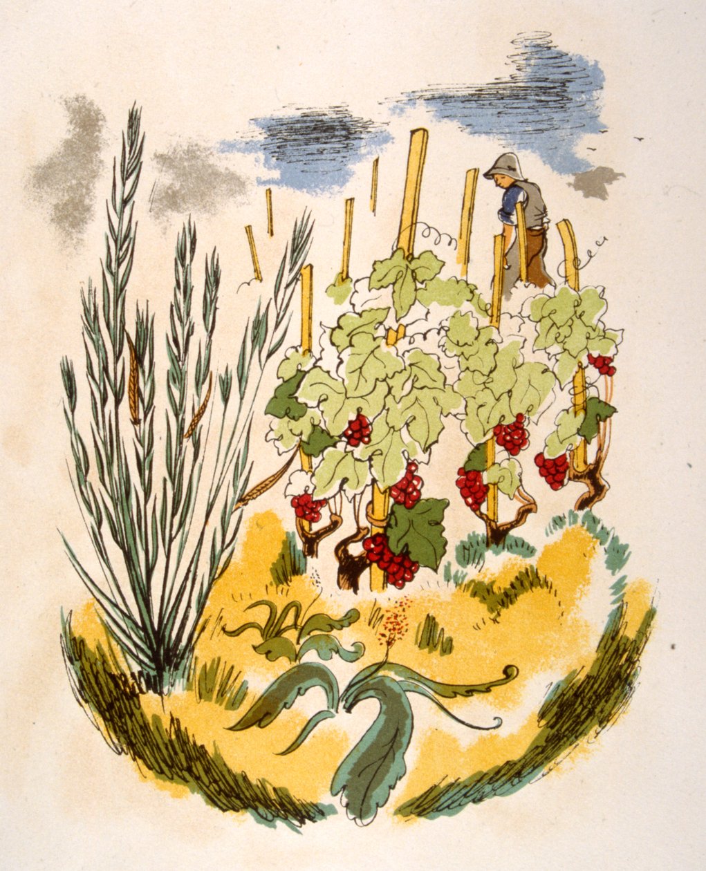 幽默的葡萄酒插画 1946.Julien Pavil 插画 作者 朱利安帕维尔
