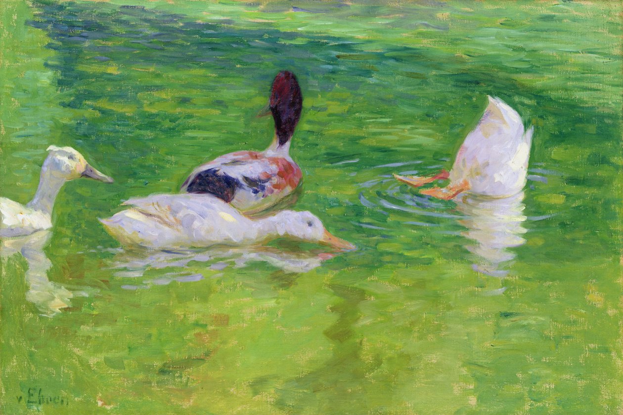 鸭子，c.1897 作者 朱利叶斯·奥古斯特·弗里德里希·西奥多·冯·埃伦