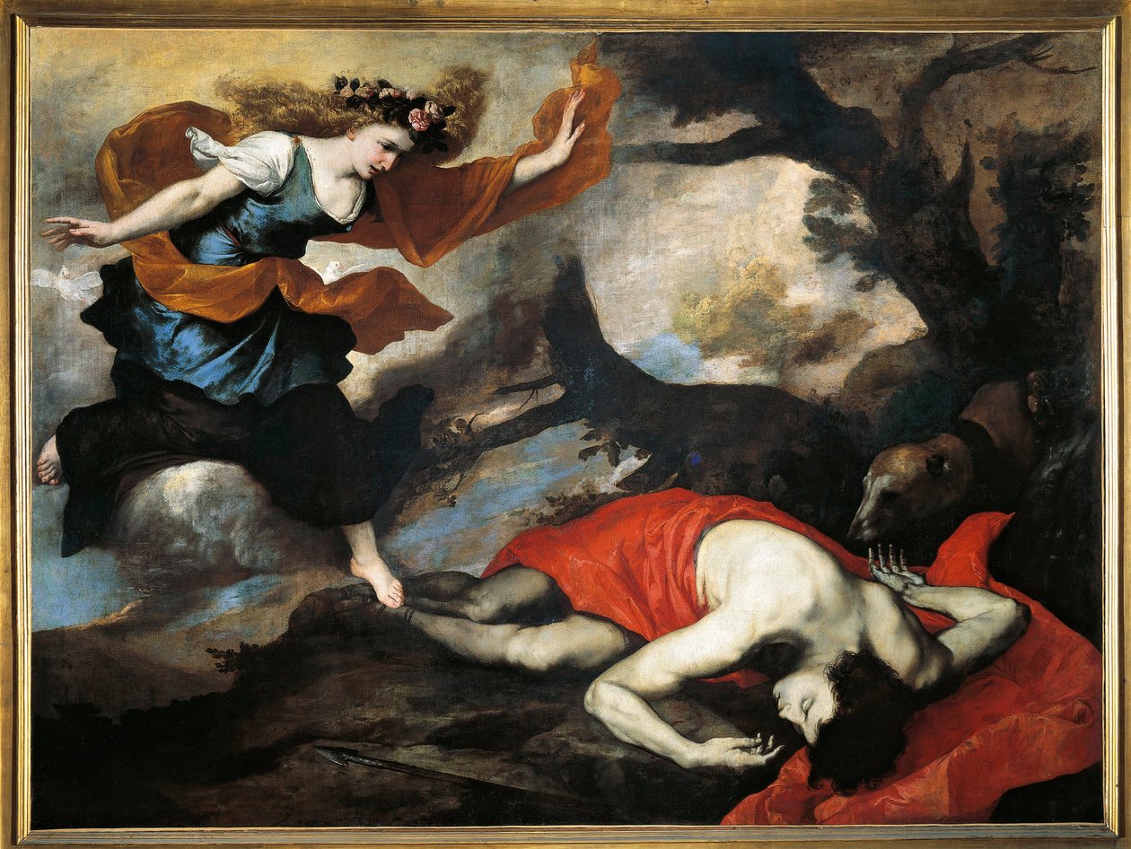 Jusepe de Ribera dit lo Spagnoletto (1591-1652) 的维纳斯和阿多尼斯绘画 作者 朱塞佩·德·里贝拉