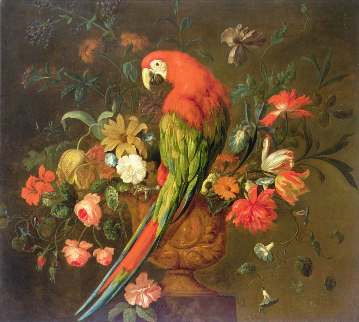 绯红金刚鹦鹉栖息在雕花瓮上（布面油画） 作者 Justus van Huysum