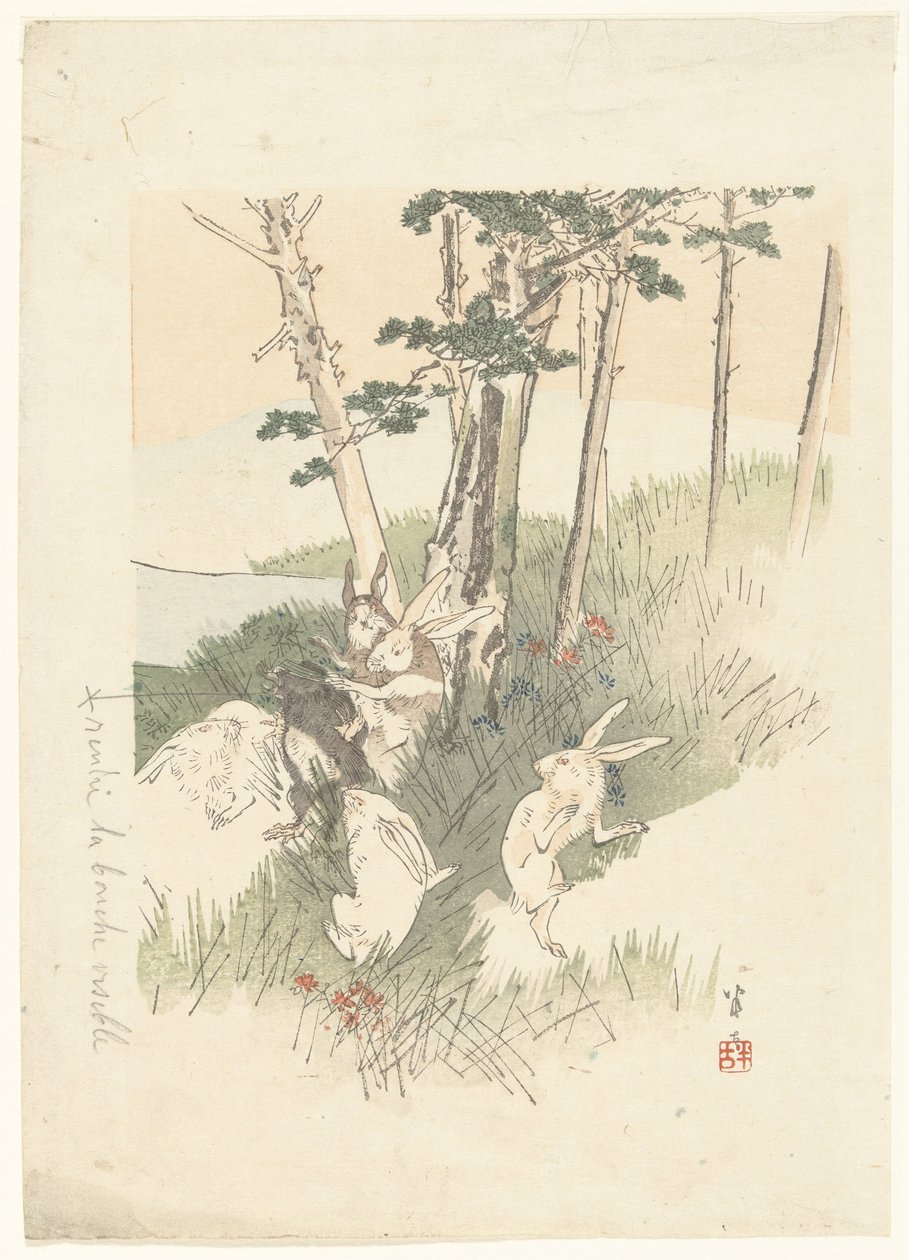 兔子和一只鼹鼠 作者 鹿田汉子